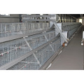 Broiler Battery Chicken Cage System